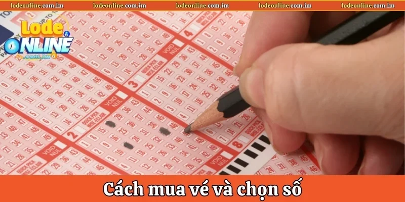 Cách mua vé và chọn số